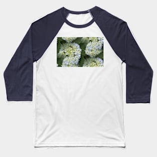 Pale Blue Hydrangea Baseball T-Shirt